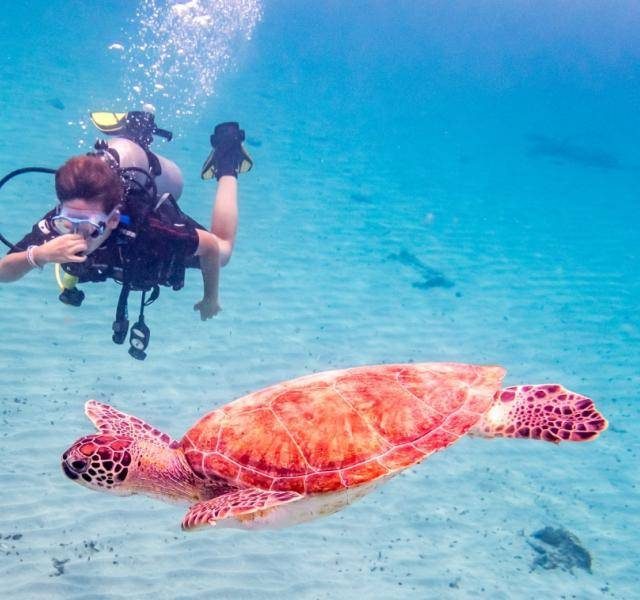 bow_shutterstock_473348743__1496339893