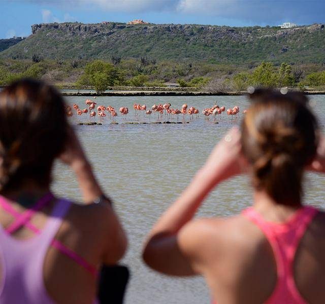 tour2img1__1455630117