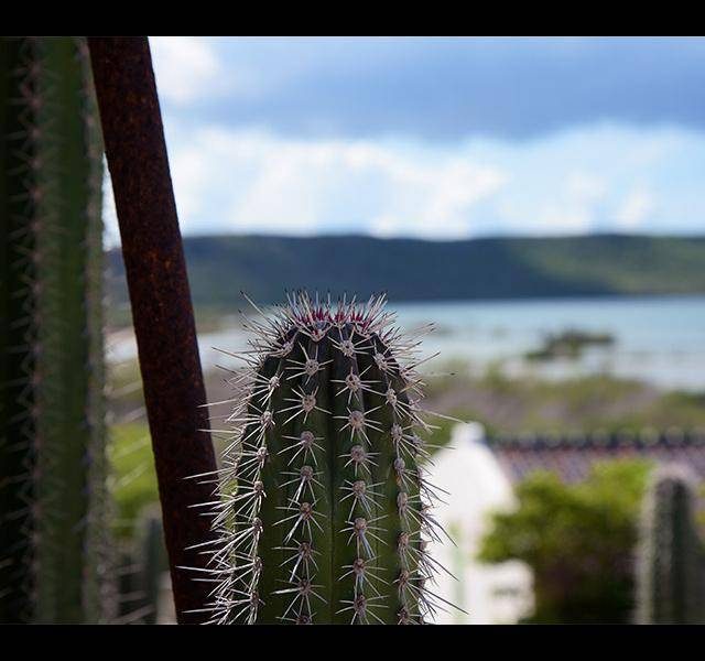 tour4img2__1455630371