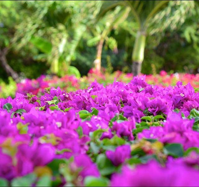 tour4img3__1455630372